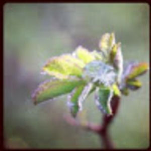 Meet your Posher, Gabrielle